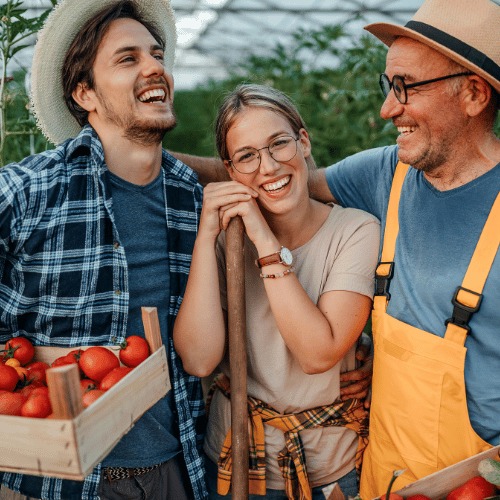 About Our Consulting Firm